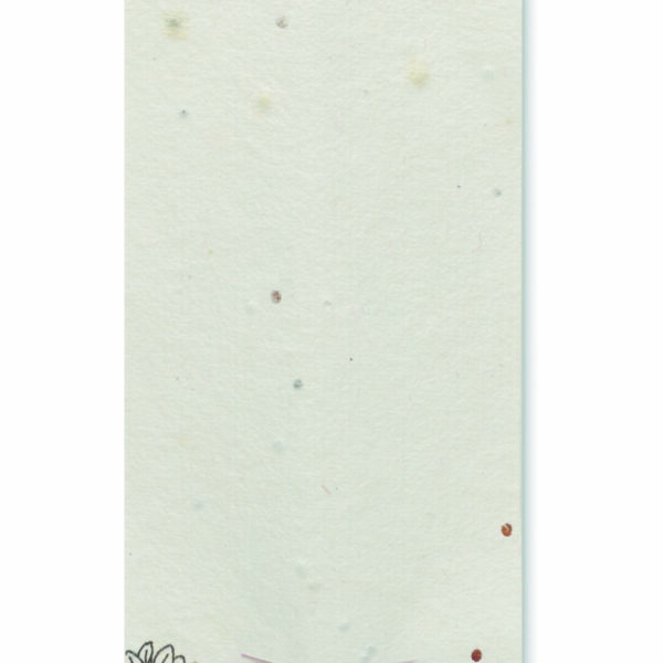 Crayon à papier et graines