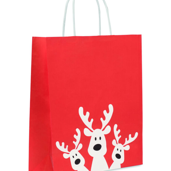 Sac cadeau format moyen
