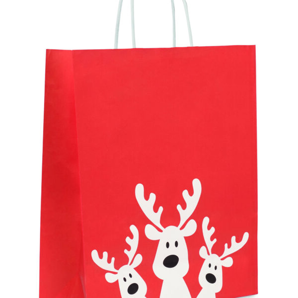 Sac cadeau grand format