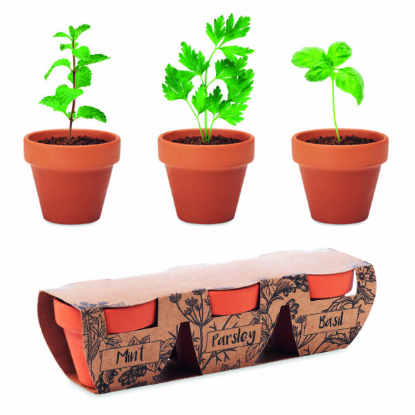 3 pots en terre