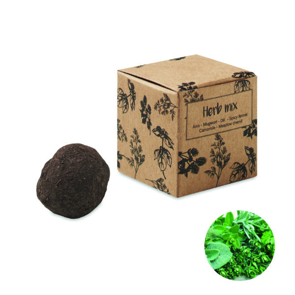 Bombe de graines d'herbes