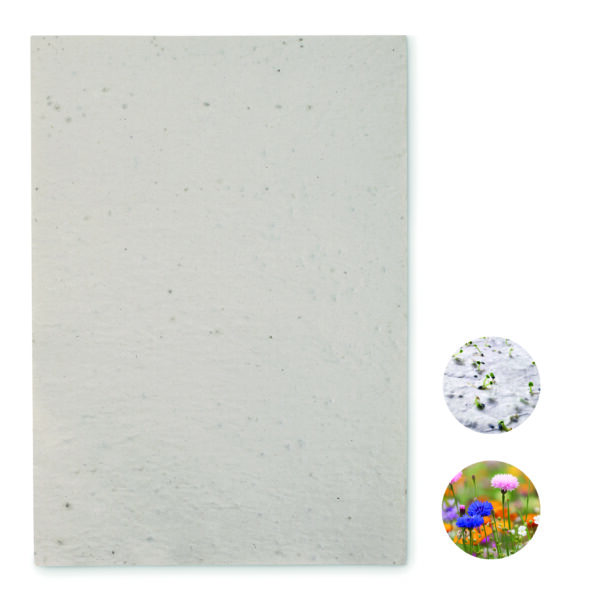 Papier A4 graines de fleurs