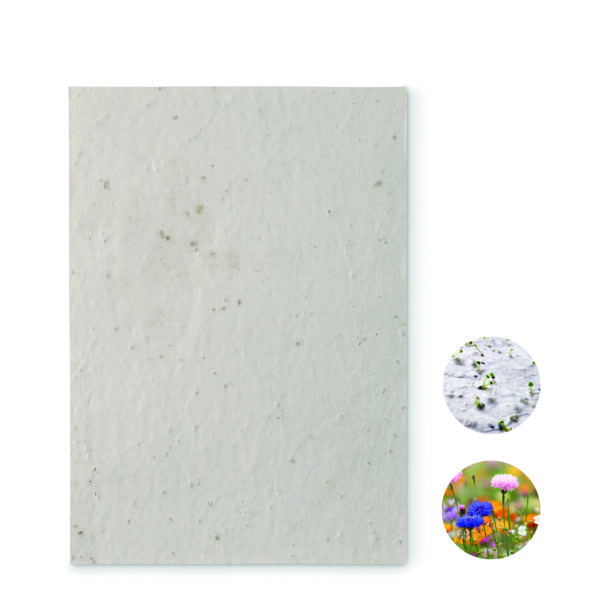 Papier A5 graines de fleurs